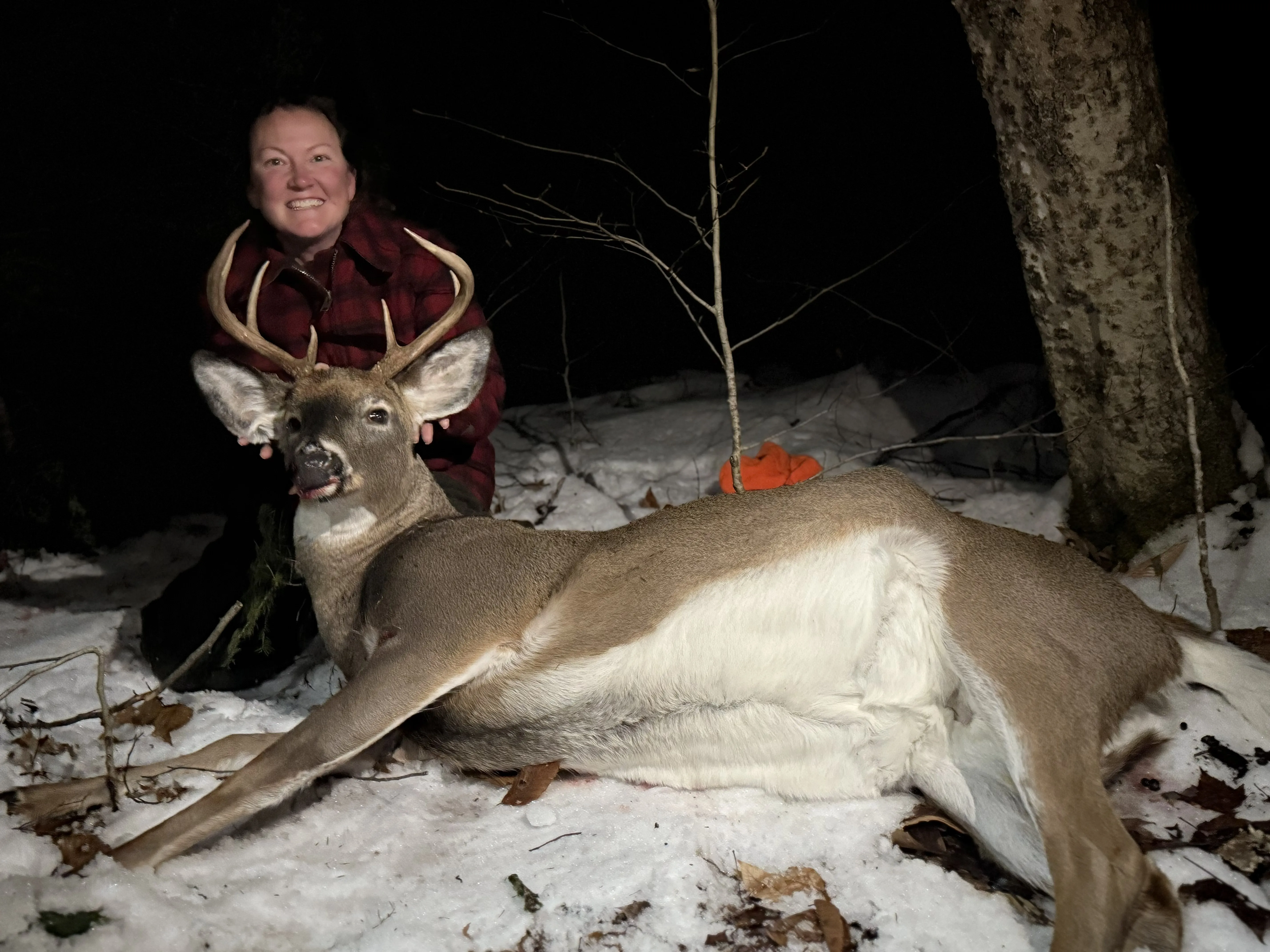 Description of the image