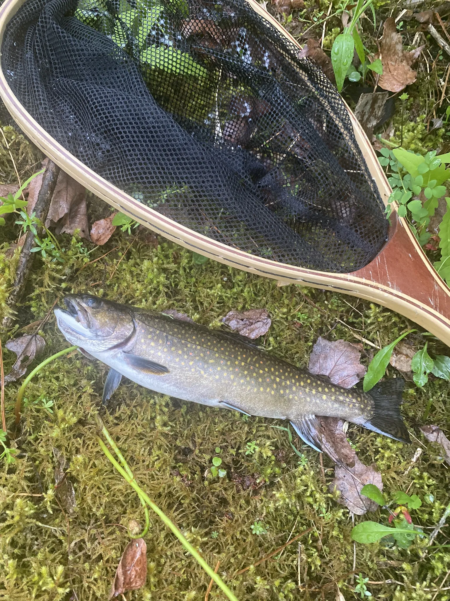 Guided ice fishing trip