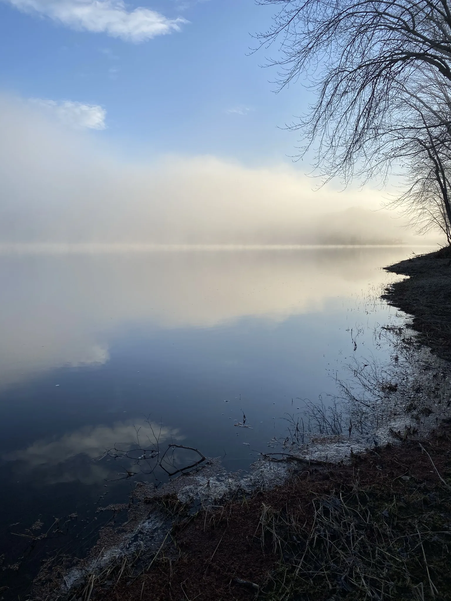 Calm Maine lake
