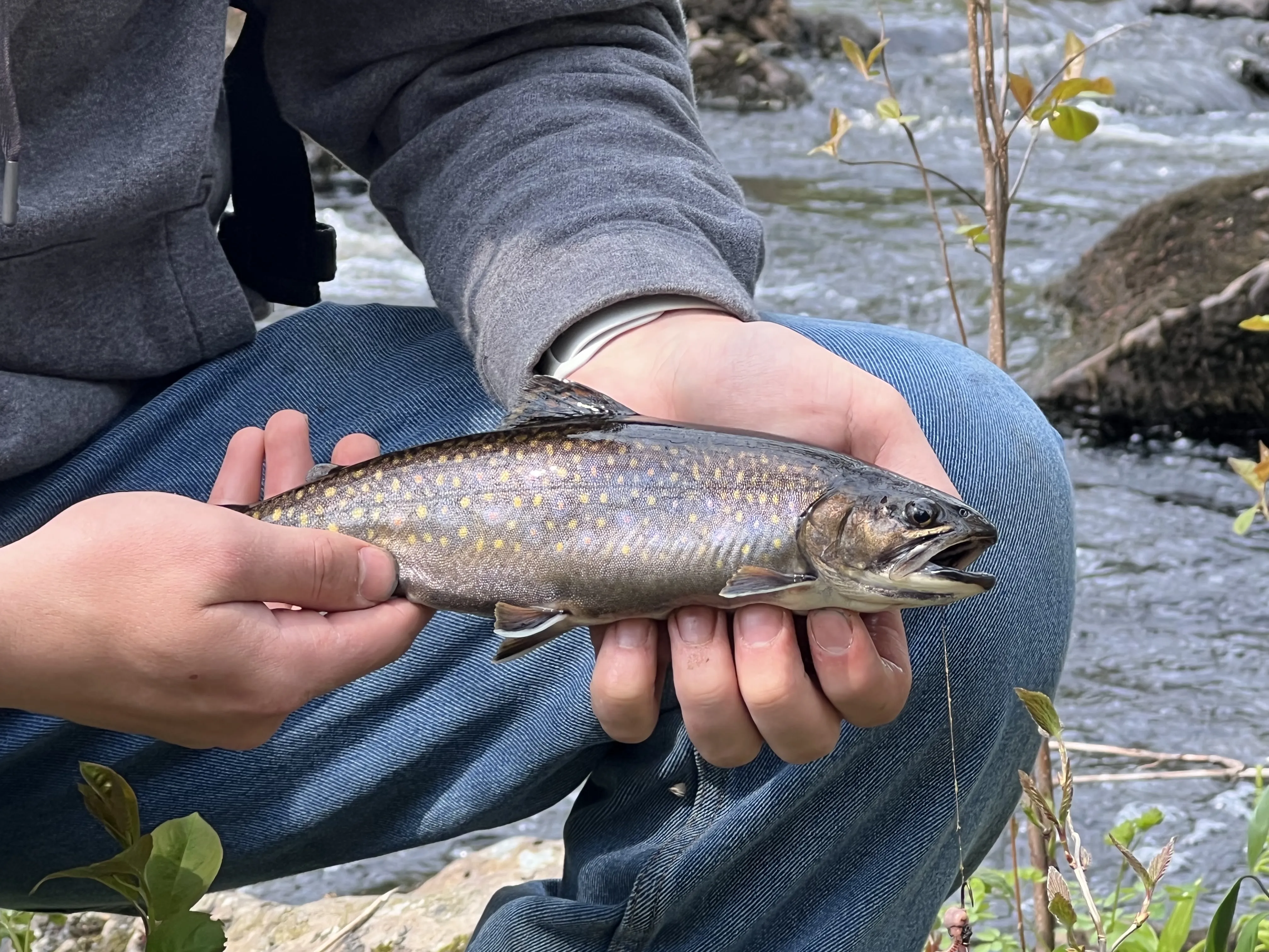 Guided ice fishing trip