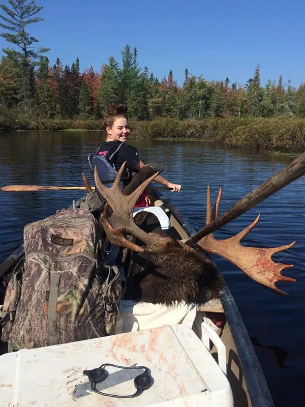 Successful moose hunt canoing out the moose